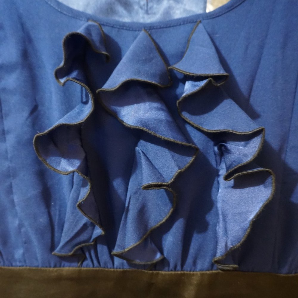 Express Ruffle Front Dress - Picture 3 of 8